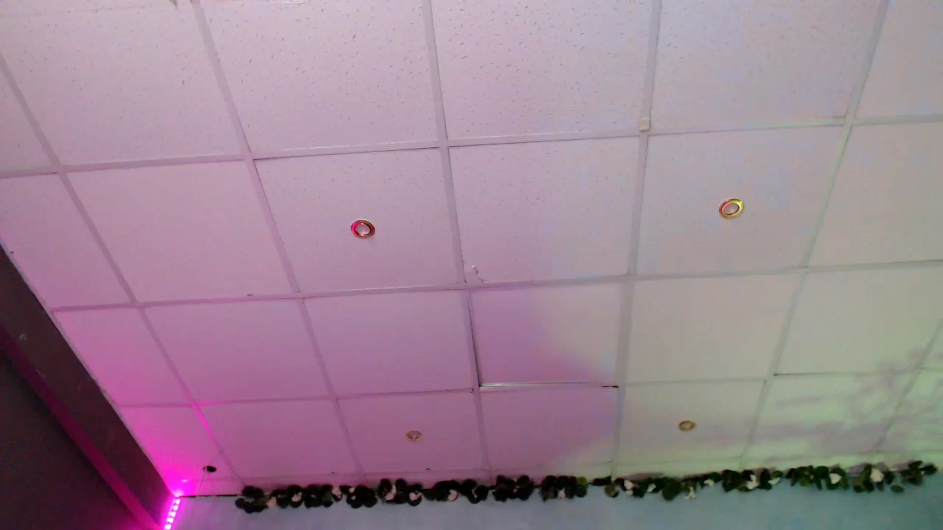 Gallery image thumbnail from SellenaCarter's myfreecams stream on, 02/13/2025, 15:49 image 14 of 20