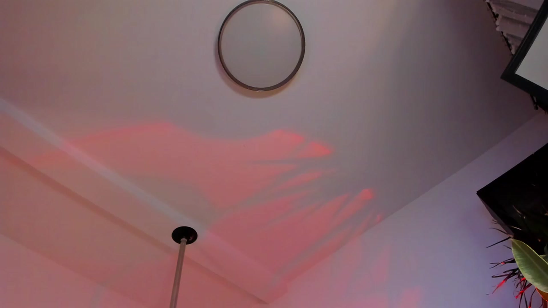 Gallery image thumbnail from Sellena_Girl's myfreecams stream on, 11/28/2022, 23:49 image 1 of 20
