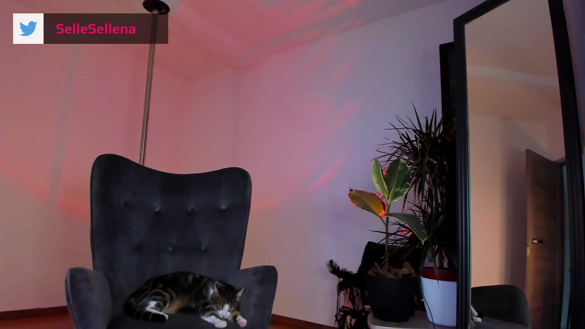 Gallery image thumbnail from Sellena_Girl's myfreecams stream on, 11/28/2022, 23:49 image 12 of 20