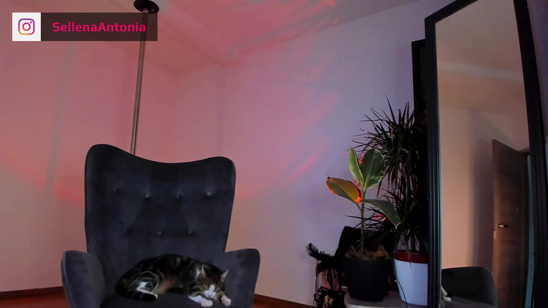 Gallery image thumbnail from Sellena_Girl's myfreecams stream on, 11/28/2022, 23:49 image 11 of 20