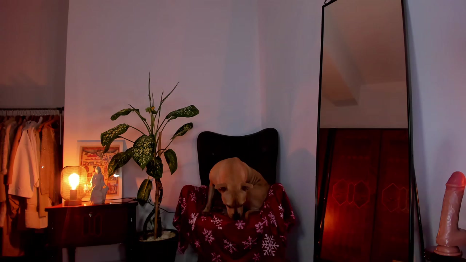 Gallery image thumbnail from Sellena_Girl's myfreecams stream on, 01/02/2024, 10:10 image 5 of 20