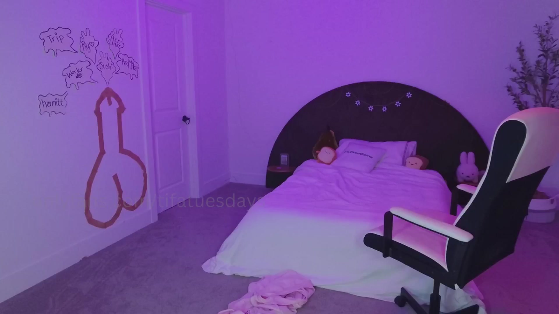 Gallery image thumbnail from SendTacoMoney's myfreecams stream on, 02/15/2026, 08:40 image 9 of 20
