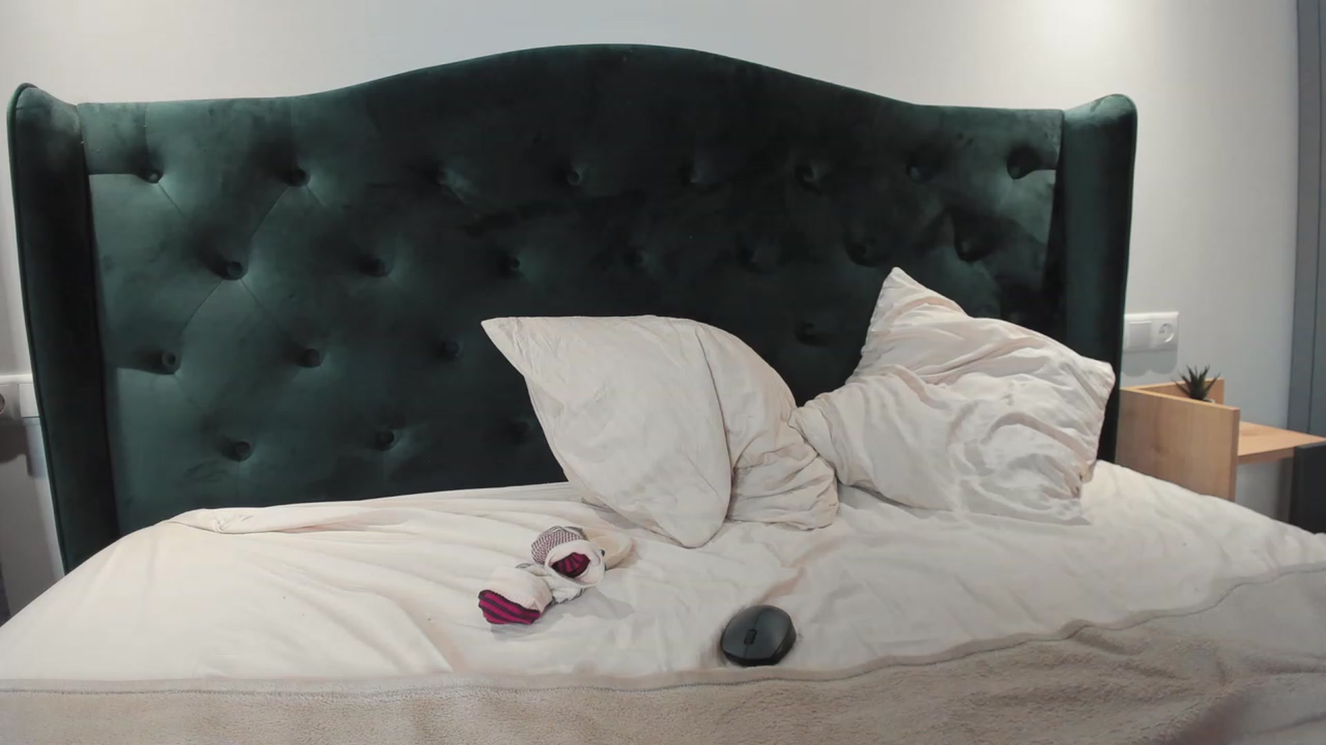 Gallery image thumbnail from SensualAdict's myfreecams stream on, 11/24/2022, 20:11 image 16 of 20