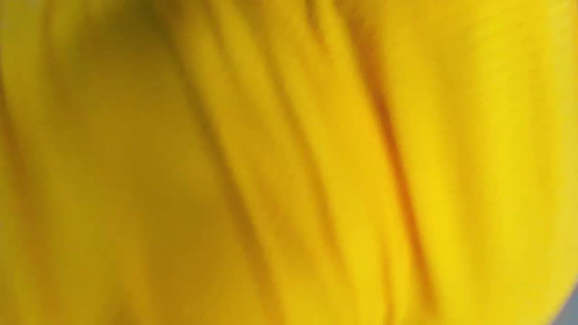 Gallery image thumbnail from SensualAdict's myfreecams stream on, 01/13/2023, 18:59 image 5 of 20