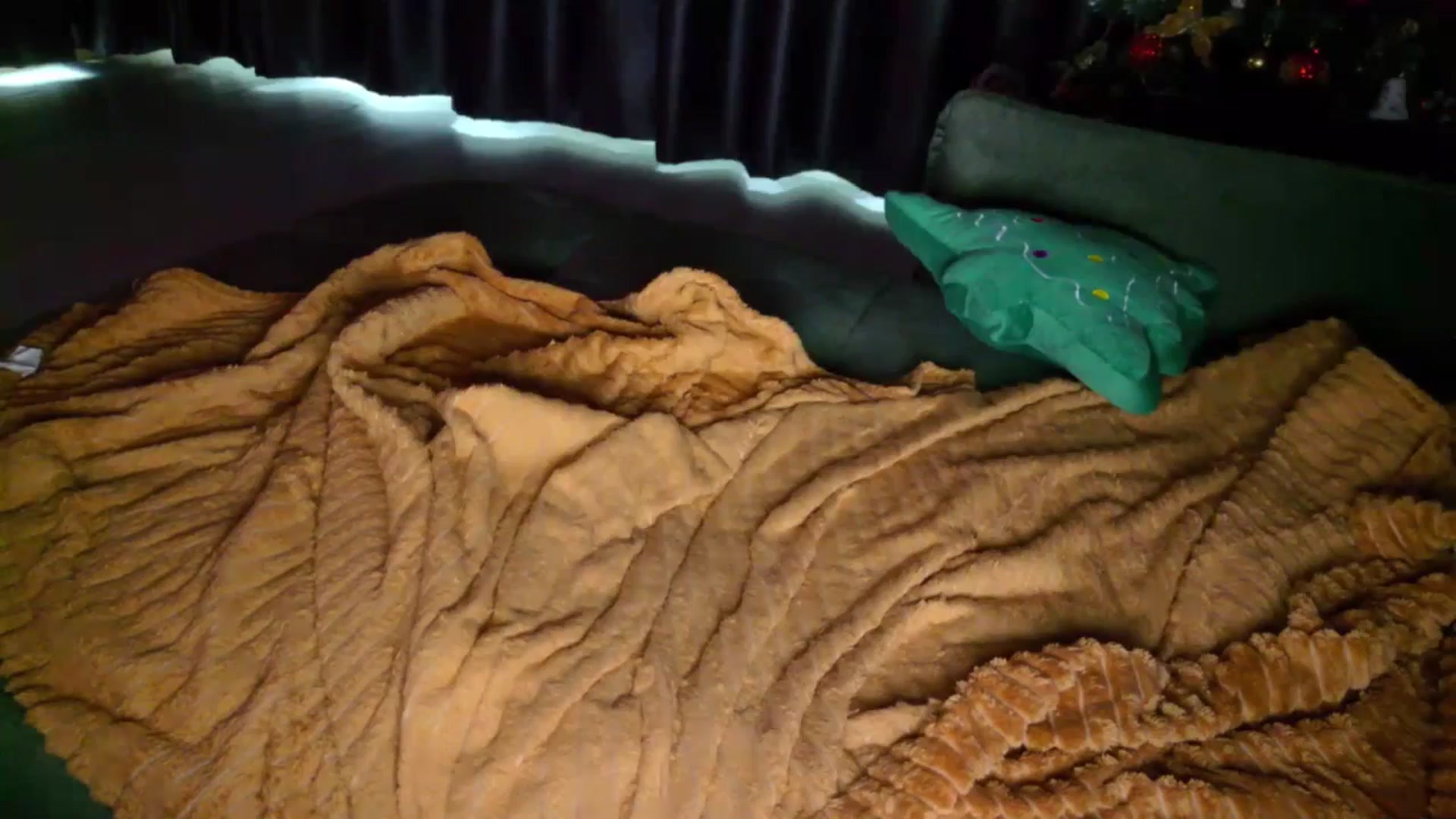 Gallery image thumbnail from SensualAlicex's myfreecams stream on, 12/28/2025, 12:42 image 17 of 20