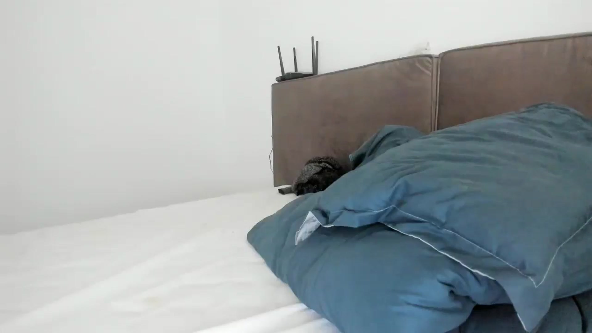 Gallery image thumbnail from SensualBarbie's myfreecams stream on, 07/26/2024, 12:32 image 13 of 20
