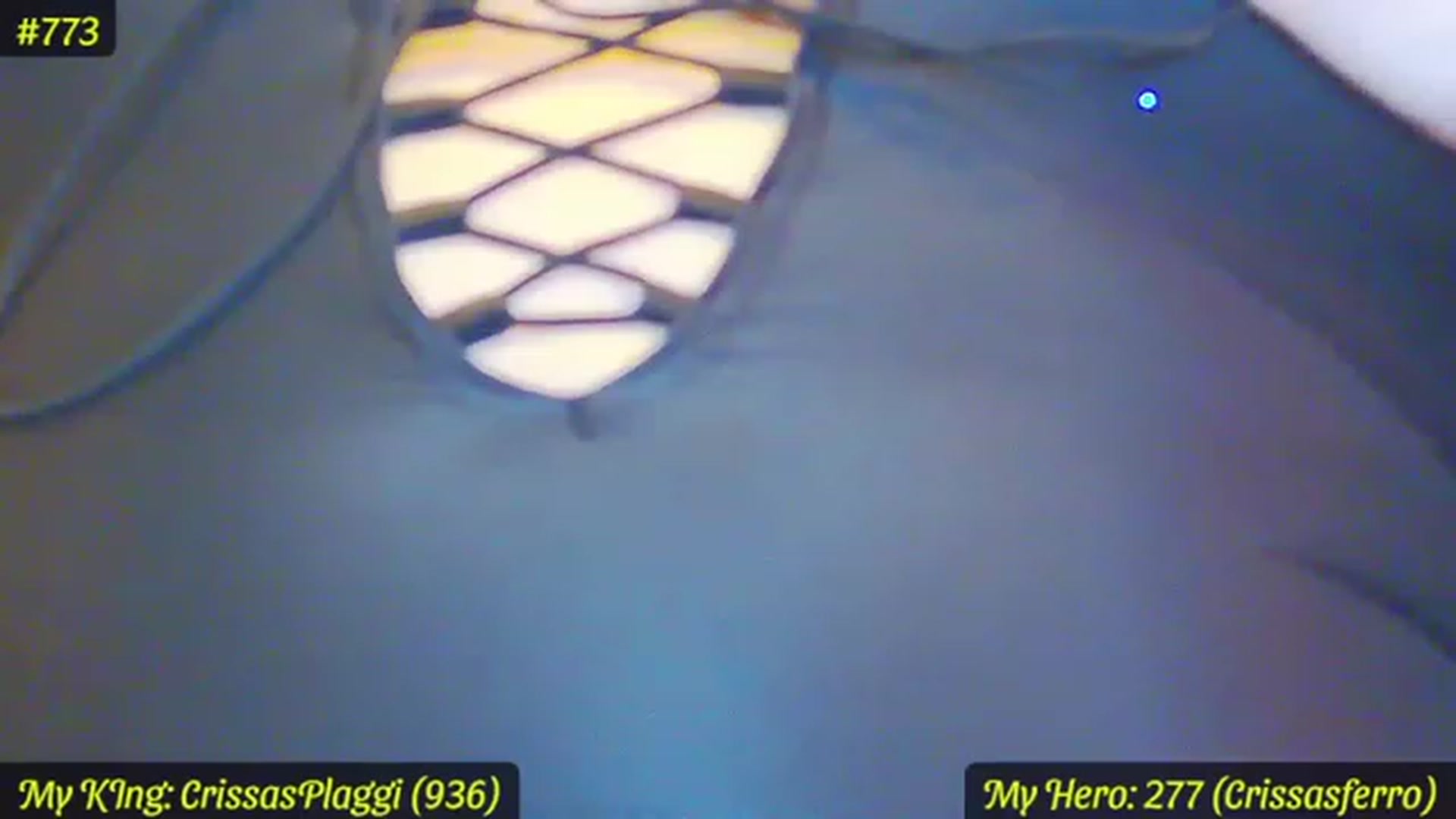 Gallery image thumbnail from SensualCrissa's myfreecams stream on, 06/10/2023, 12:14 image 1 of 20
