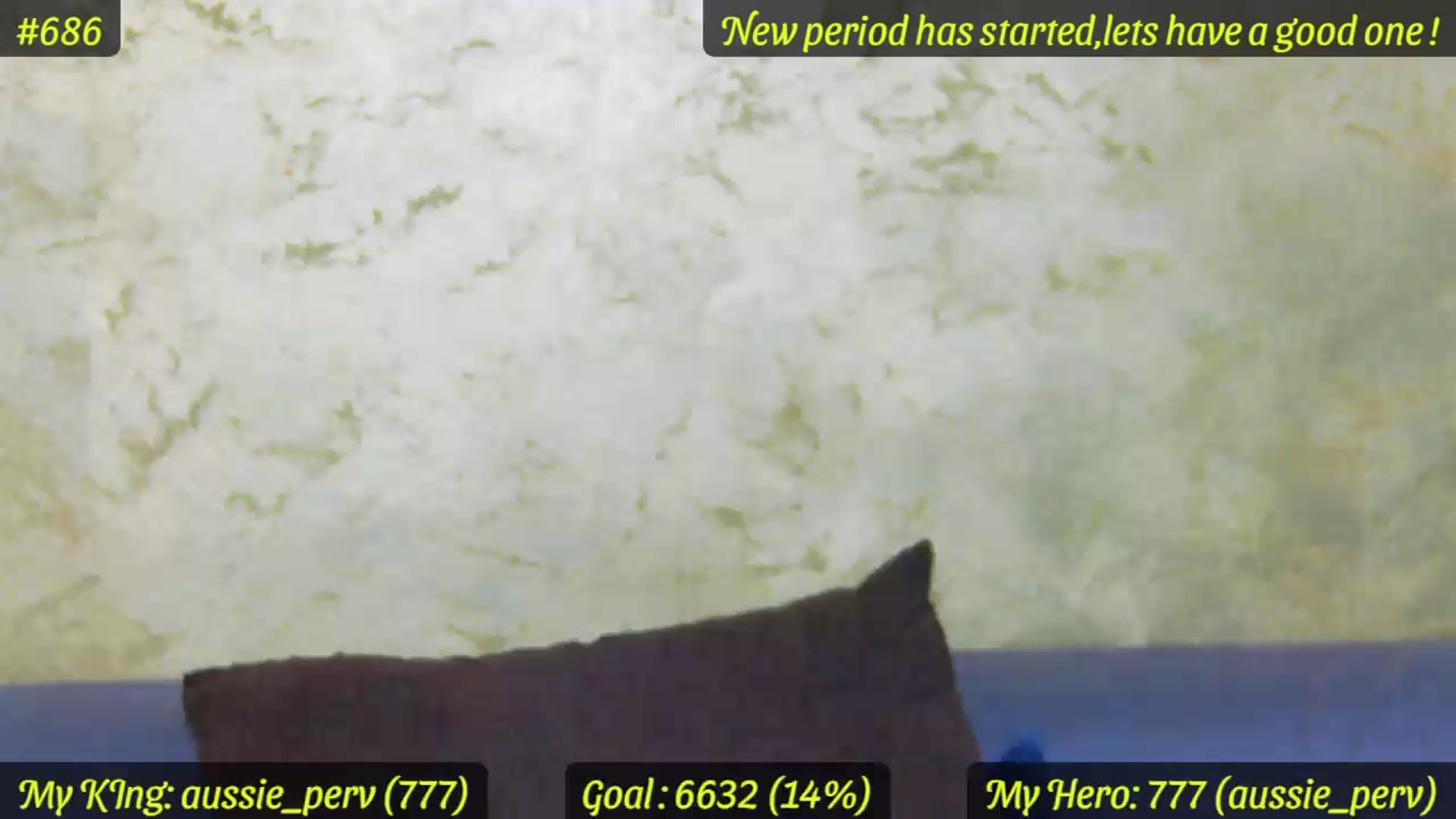 Gallery image thumbnail from SensualCrissa's myfreecams stream on, 07/18/2023, 11:18 image 7 of 20