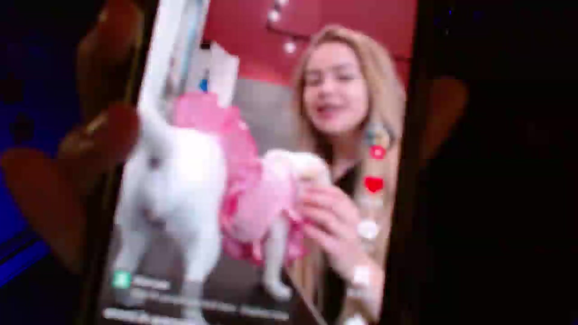 Gallery image thumbnail from Serafina's myfreecams stream on, 06/10/2026, 05:47 image 12 of 20
