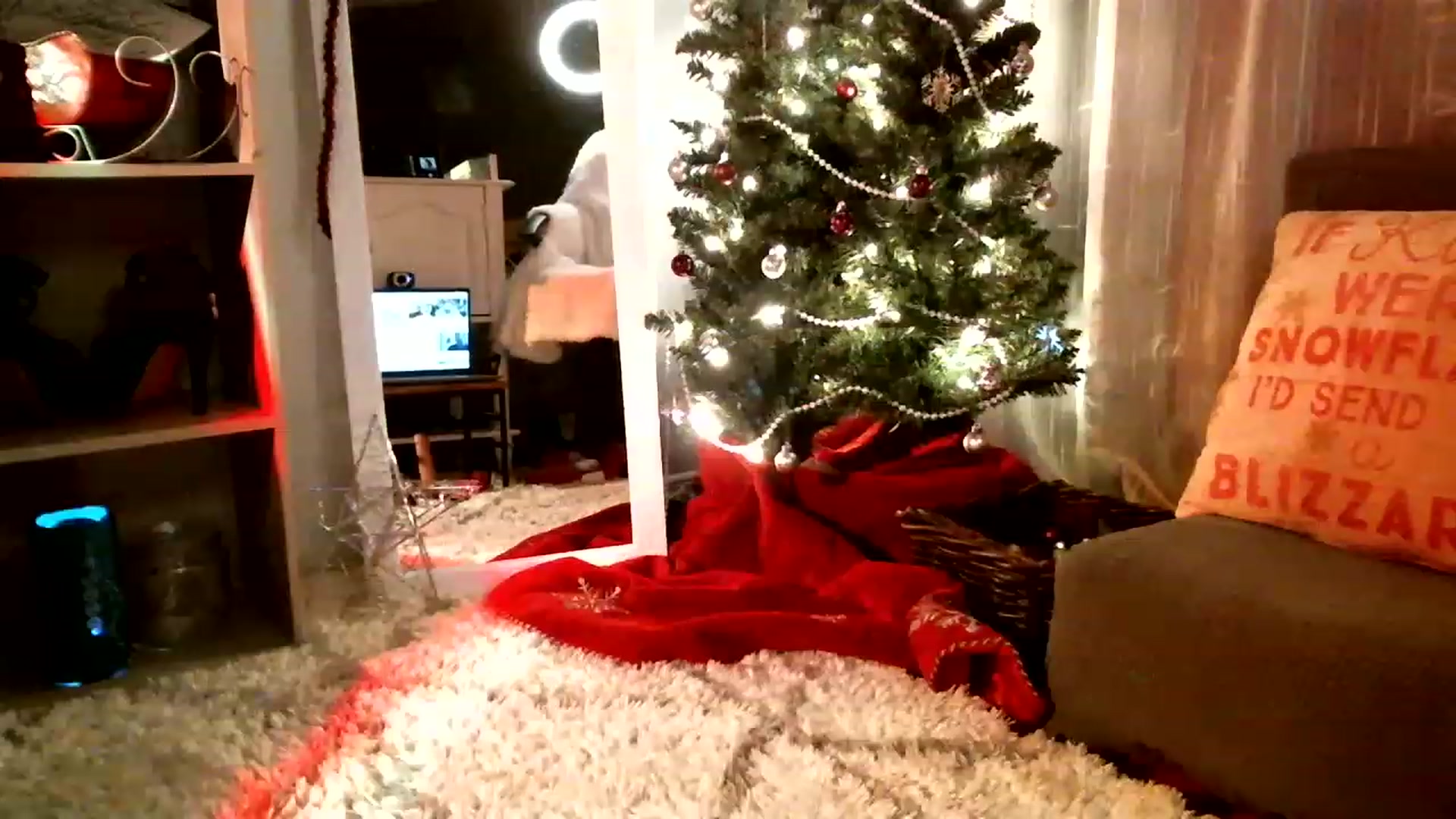 Gallery image thumbnail from SeraphinaR's myfreecams stream on, 12/23/2022, 04:56 image 12 of 20