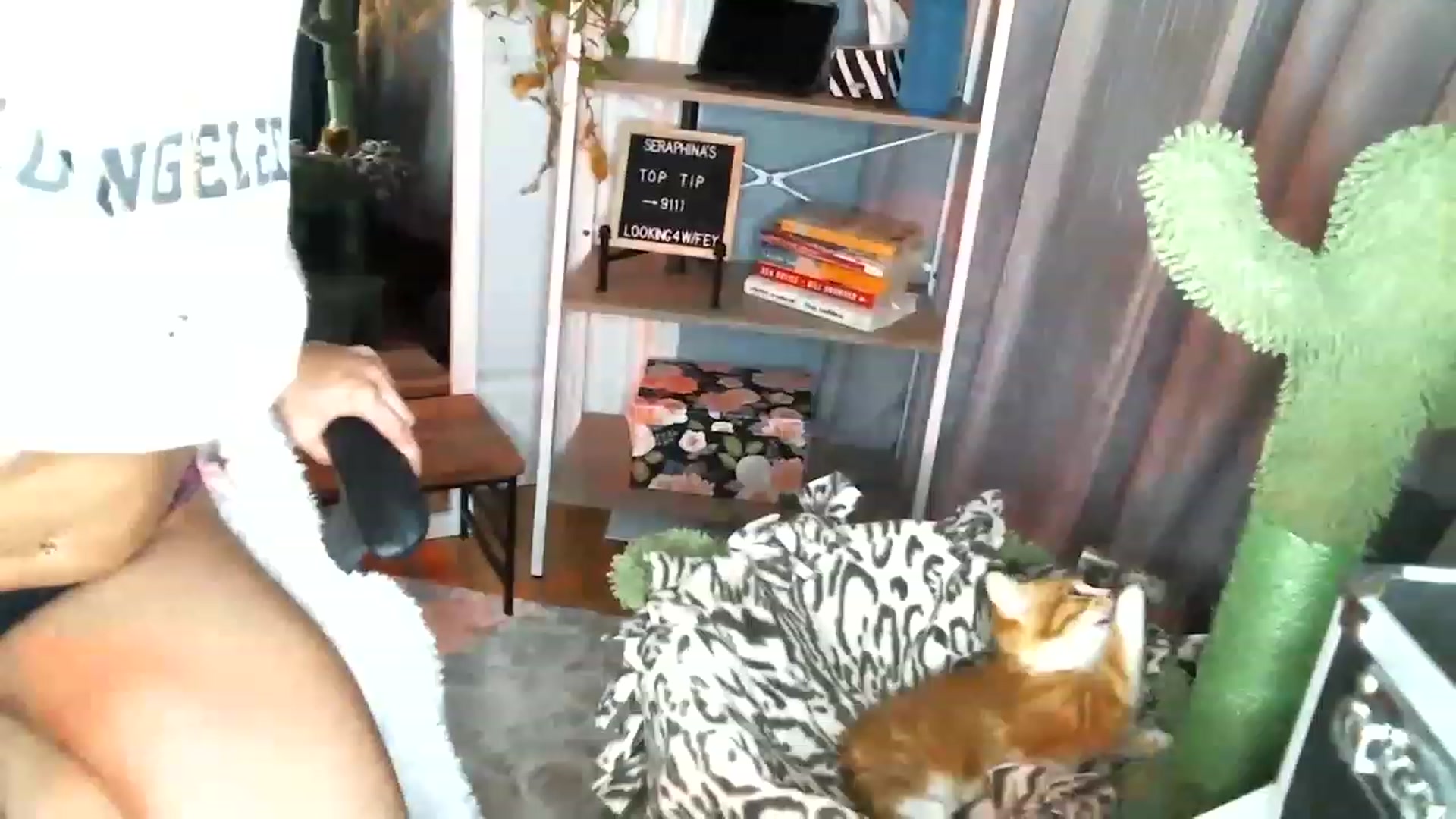 Gallery image thumbnail from SeraphinaR's myfreecams stream on, 06/17/2023, 03:44 image 20 of 20