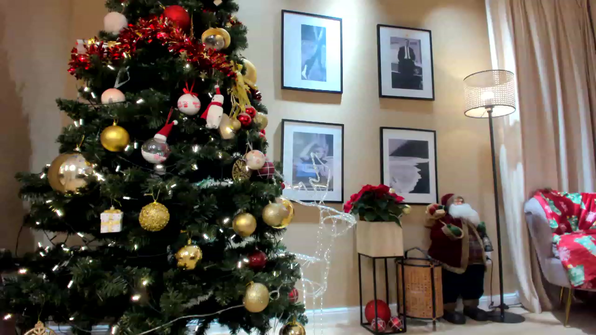 Gallery image thumbnail from SerenDYpity's myfreecams stream on, 12/10/2022, 22:01 image 4 of 20