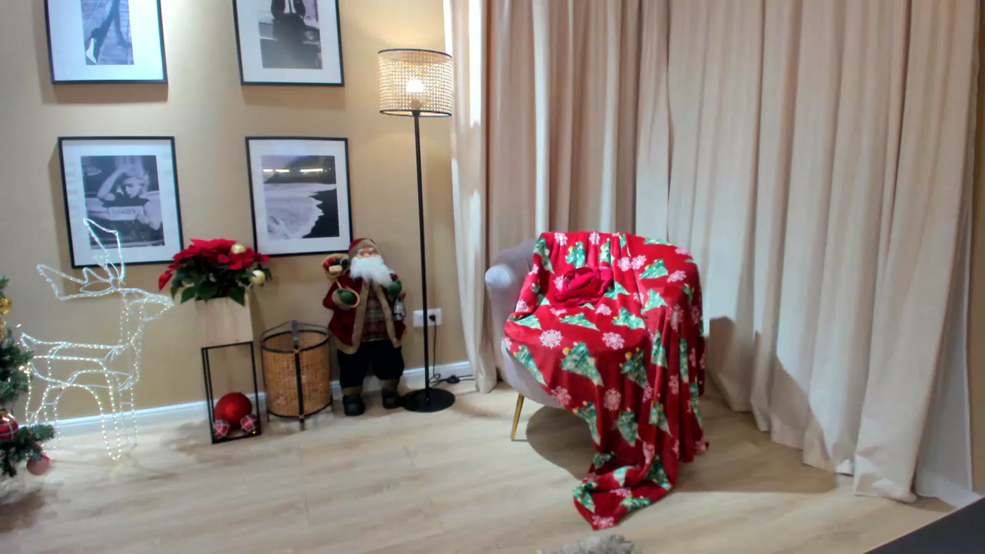 Gallery image thumbnail from SerenDYpity's myfreecams stream on, 12/11/2022, 02:31 image 3 of 20