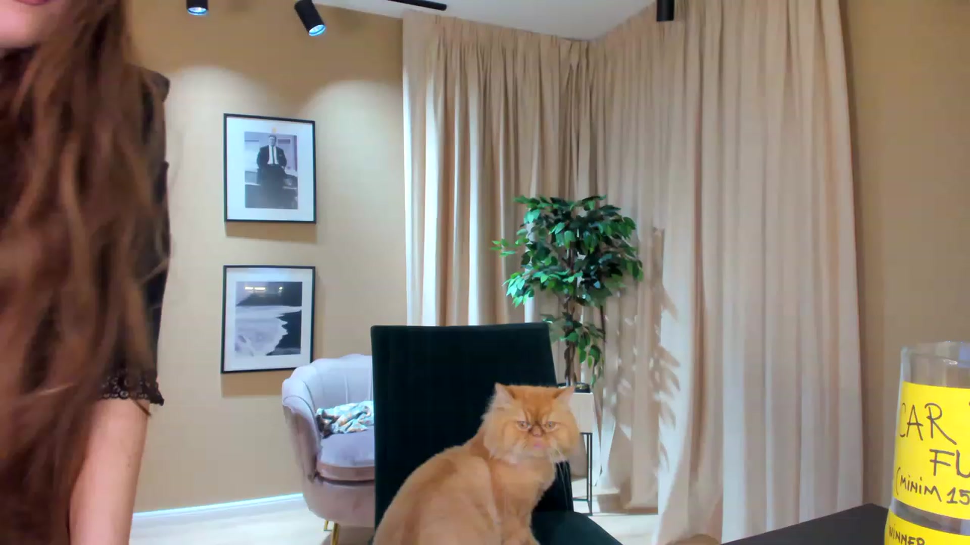 Gallery image thumbnail from SerenDYpity's myfreecams stream on, 03/10/2023, 21:49 image 6 of 20