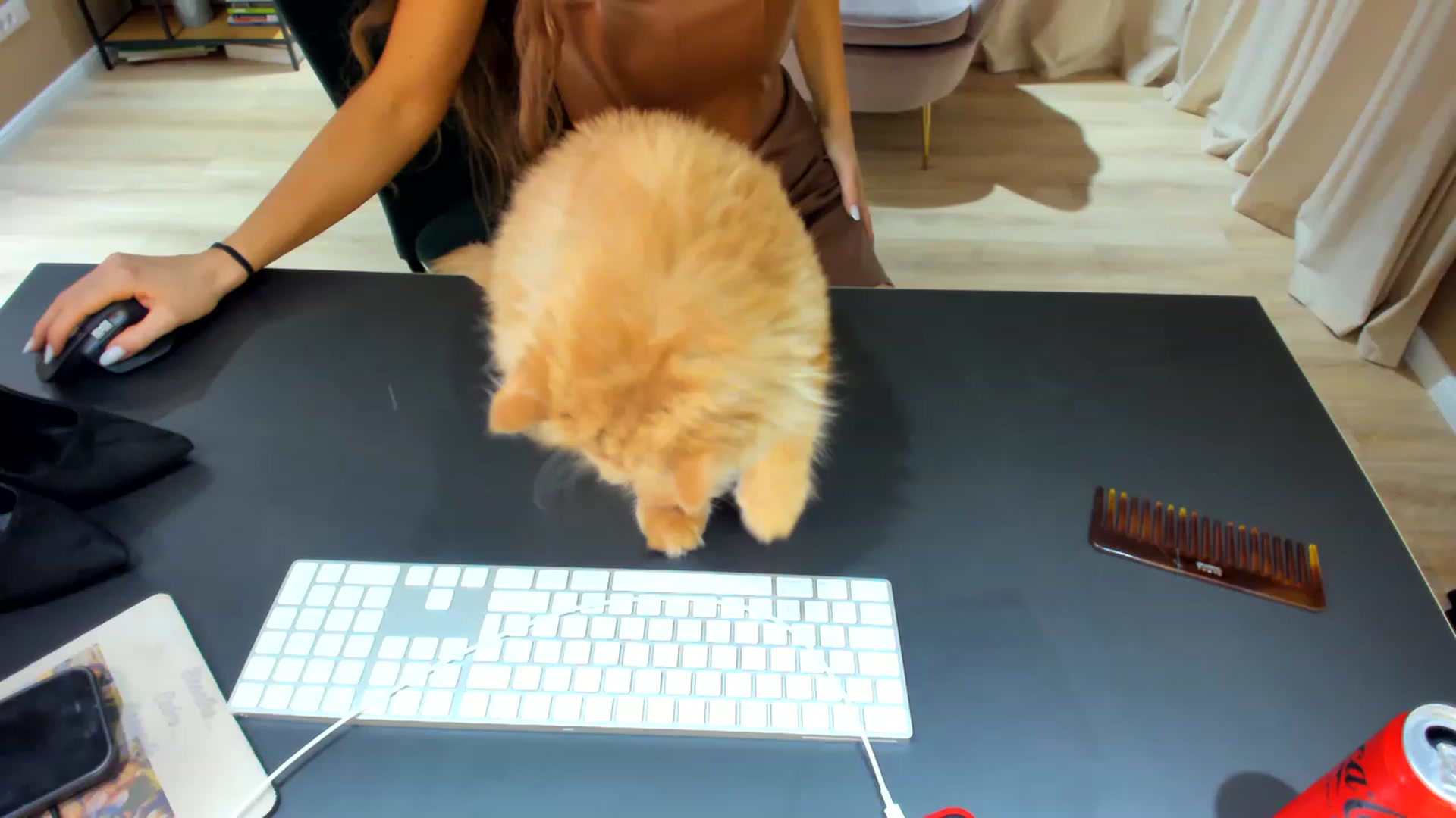 Gallery image thumbnail from SerenDYpity's myfreecams stream on, 04/09/2023, 16:59 image 10 of 20