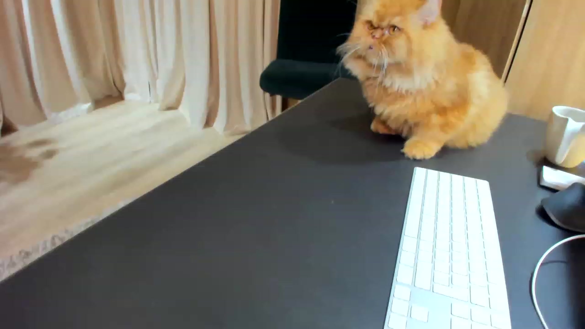 Gallery image thumbnail from SerenDYpity's myfreecams stream on, 04/19/2023, 21:33 image 1 of 20