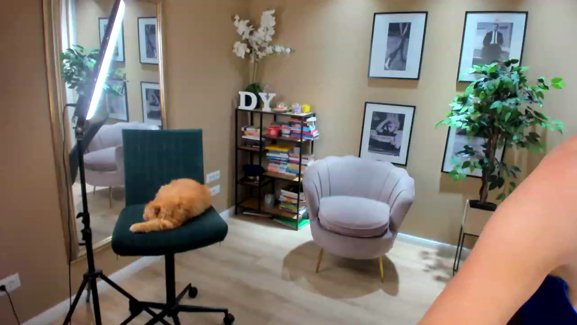 Gallery image thumbnail from SerenDYpity's myfreecams stream on, 05/04/2023, 23:28 image 5 of 20