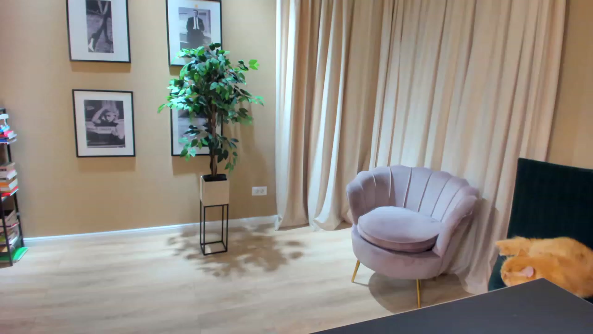 Gallery image thumbnail from SerenDYpity's myfreecams stream on, 05/14/2023, 18:37 image 10 of 20