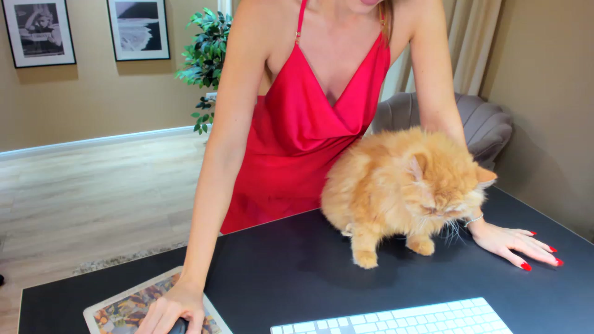Gallery image thumbnail from SerenDYpity's myfreecams stream on, 05/26/2023, 24:16 image 17 of 20