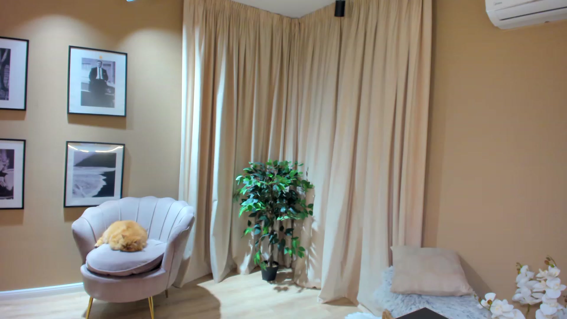 Gallery image thumbnail from SerenDYpity's myfreecams stream on, 06/03/2023, 23:21 image 3 of 20