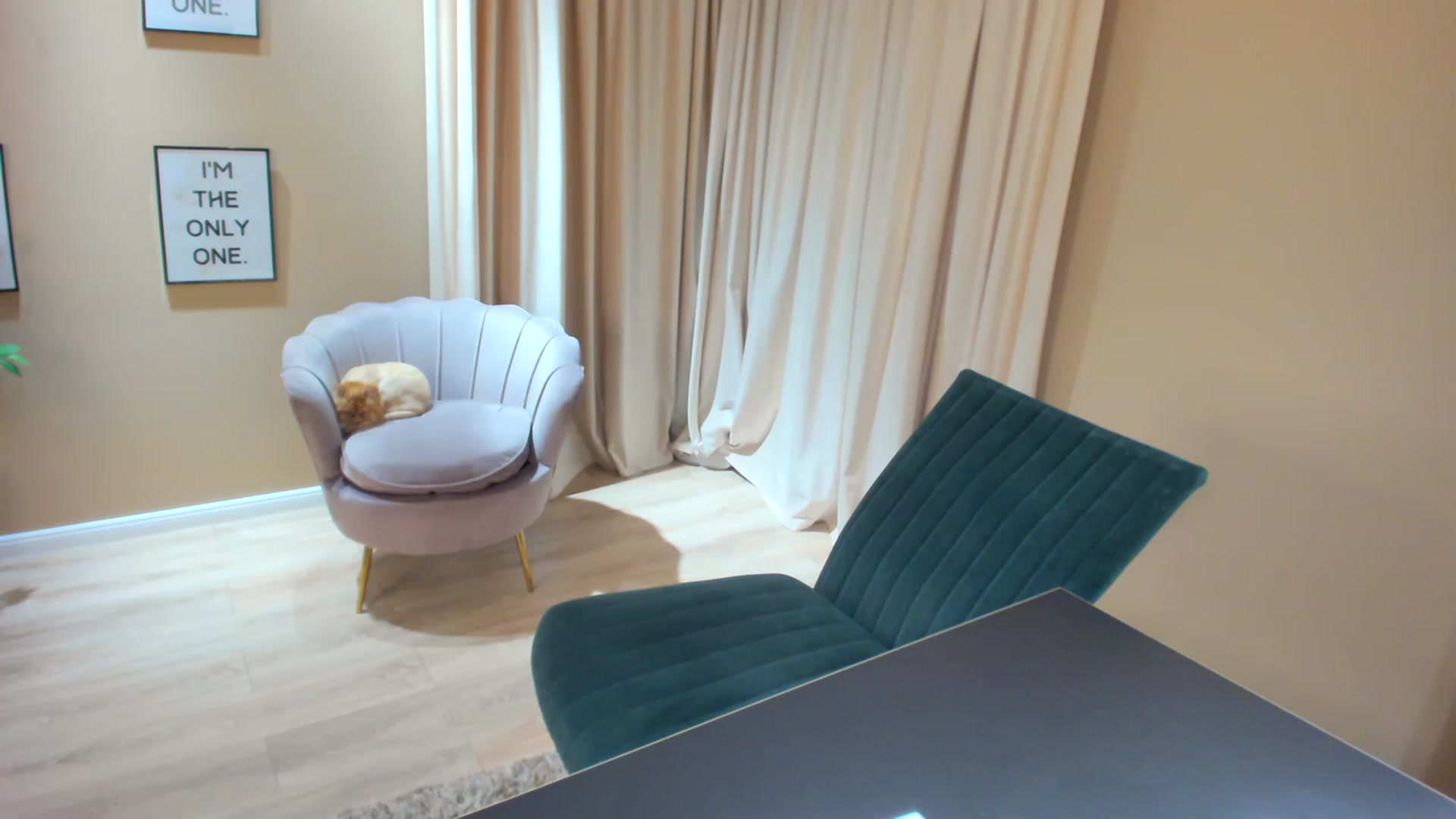 Gallery image thumbnail from SerenDYpity's myfreecams stream on, 06/20/2023, 22:10 image 20 of 20