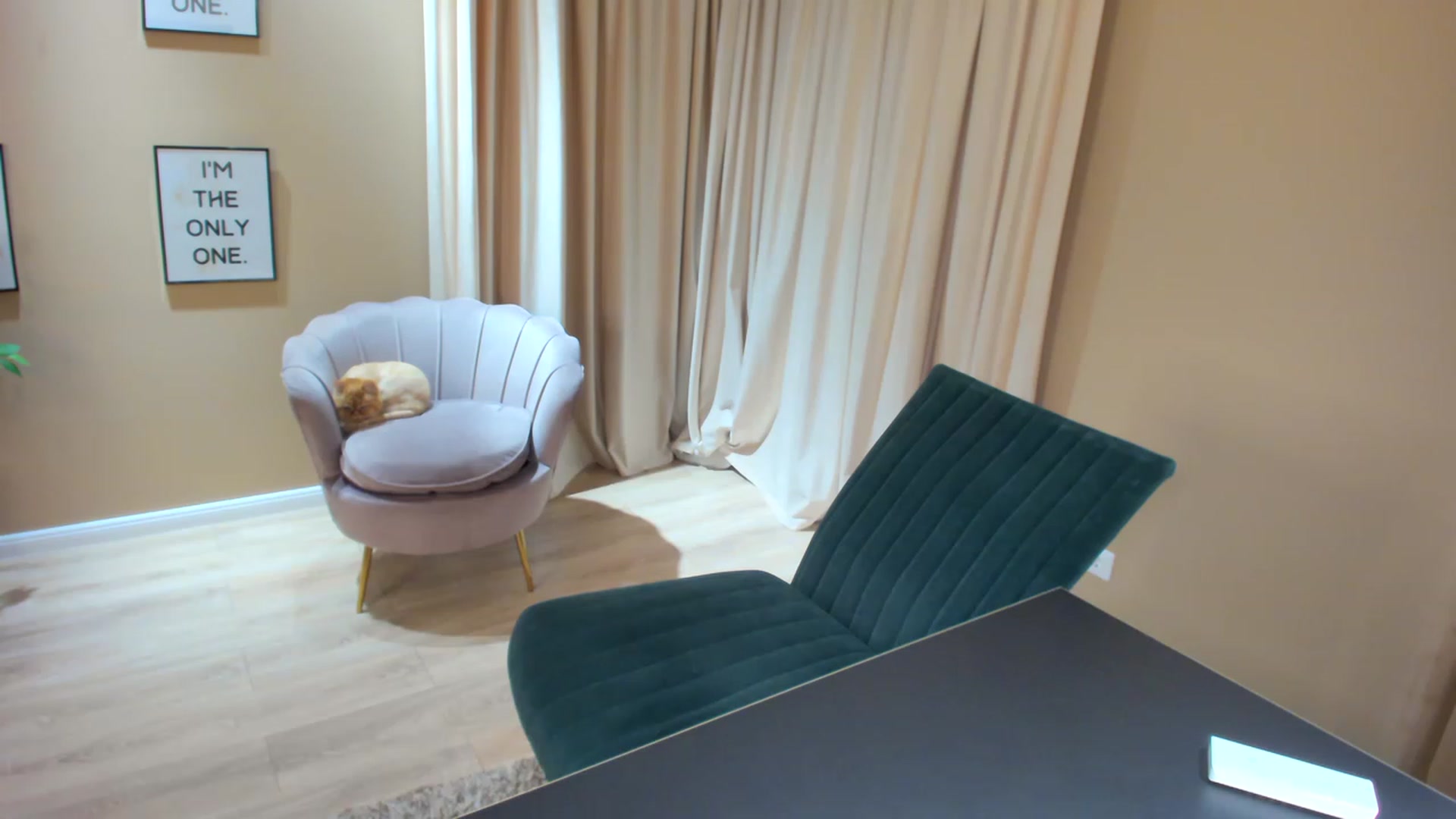 Gallery image thumbnail from SerenDYpity's myfreecams stream on, 06/20/2023, 22:10 image 19 of 20