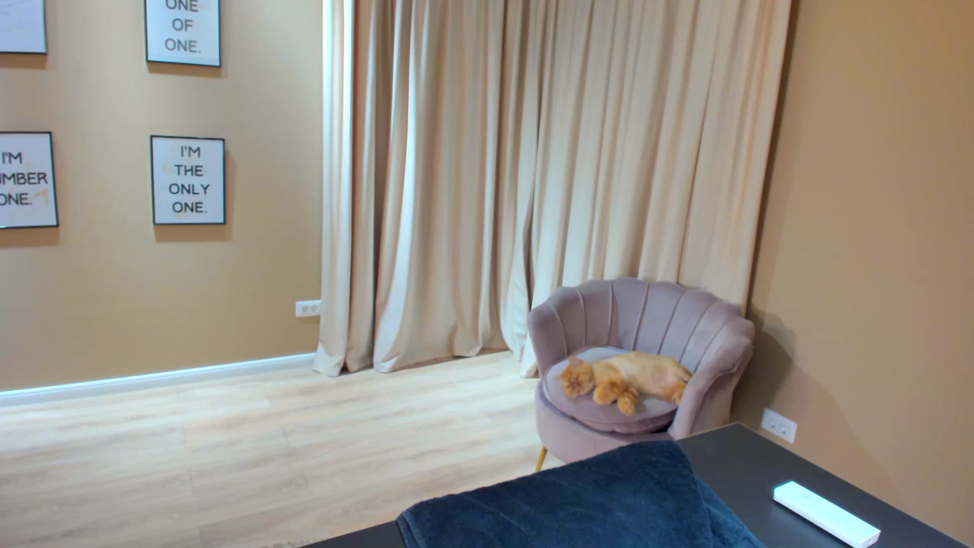 Gallery image thumbnail from SerenDYpity's myfreecams stream on, 07/06/2023, 24:29 image 7 of 20