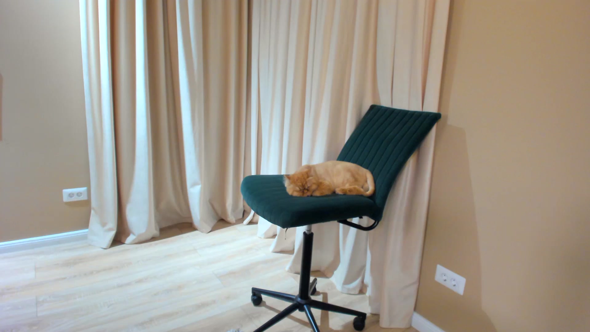 Gallery image thumbnail from SerenDYpity's myfreecams stream on, 07/08/2023, 20:22 image 4 of 20
