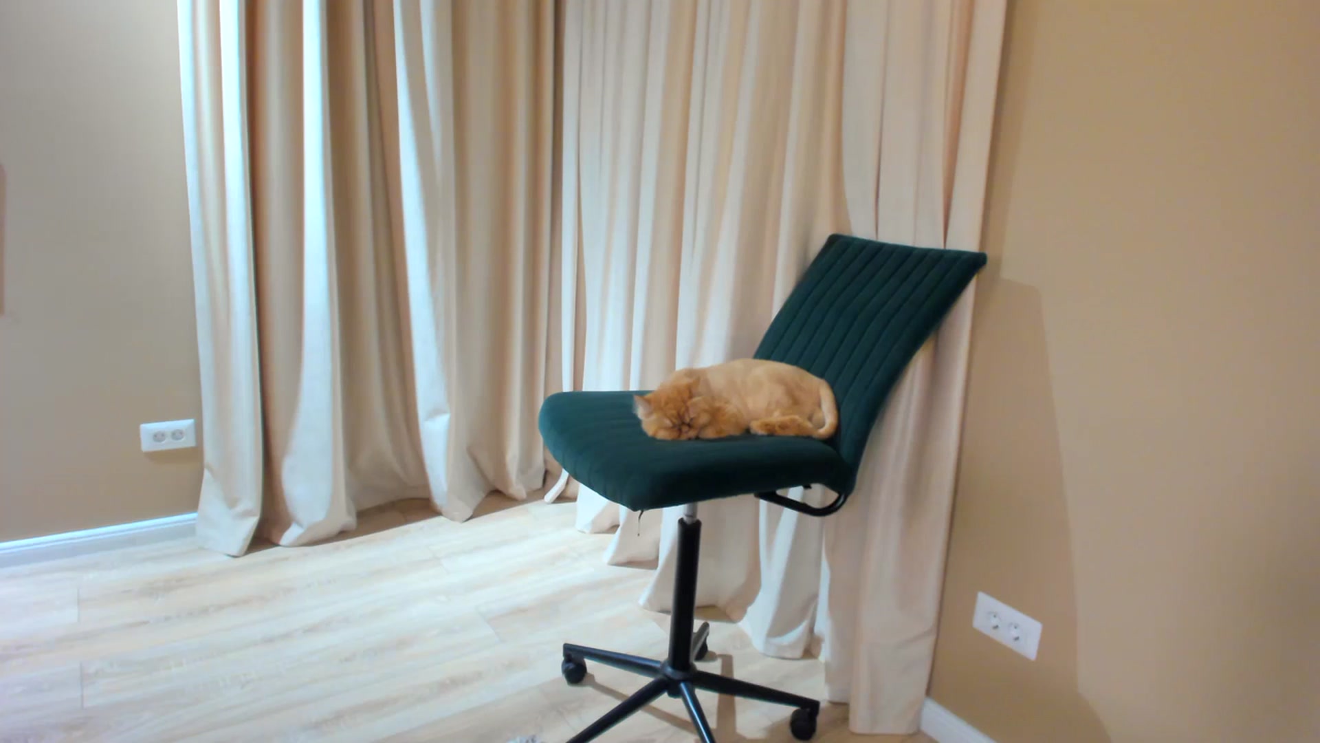 Gallery image thumbnail from SerenDYpity's myfreecams stream on, 07/08/2023, 20:22 image 2 of 20