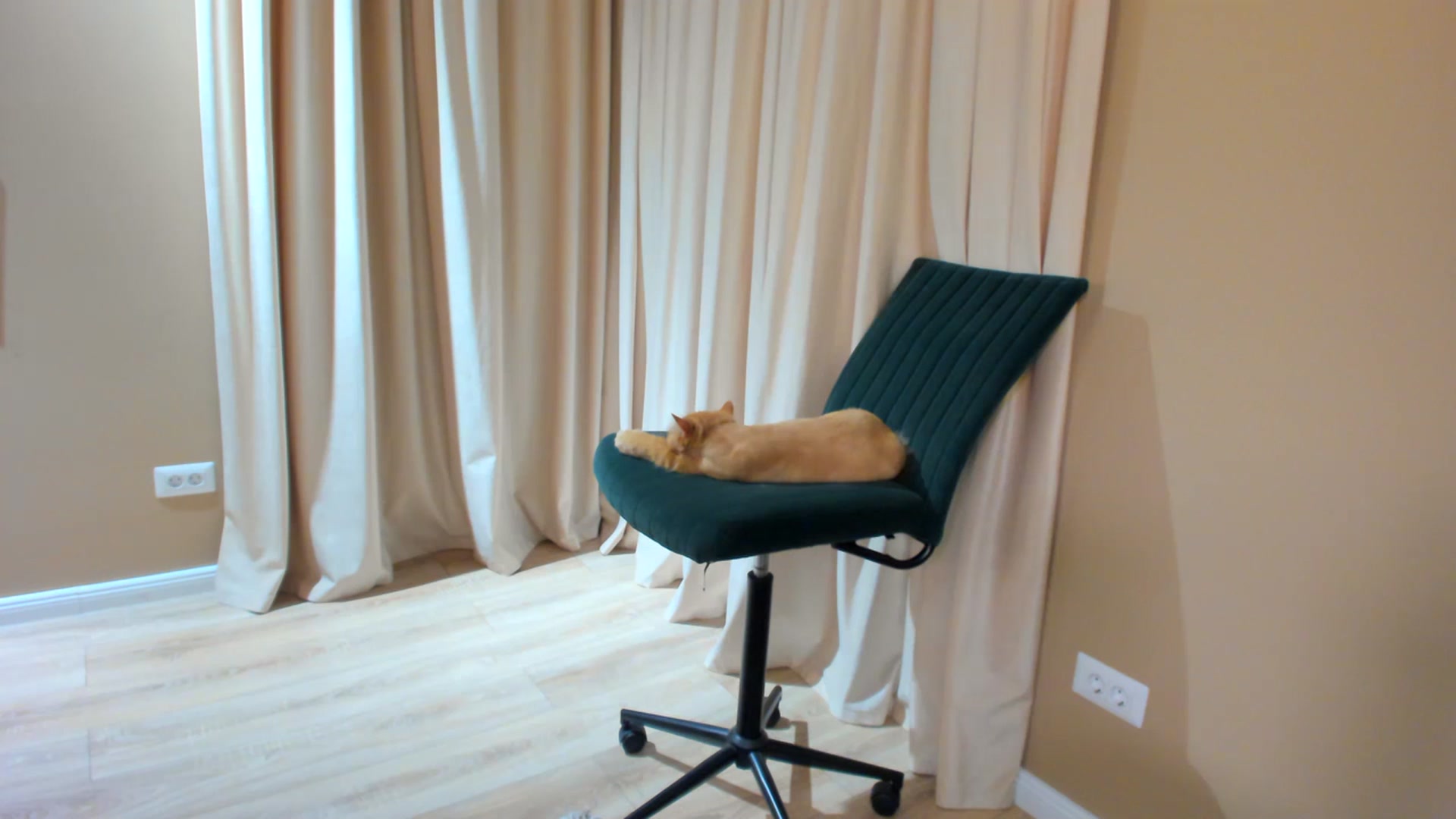 Gallery image thumbnail from SerenDYpity's myfreecams stream on, 07/08/2023, 20:22 image 1 of 20