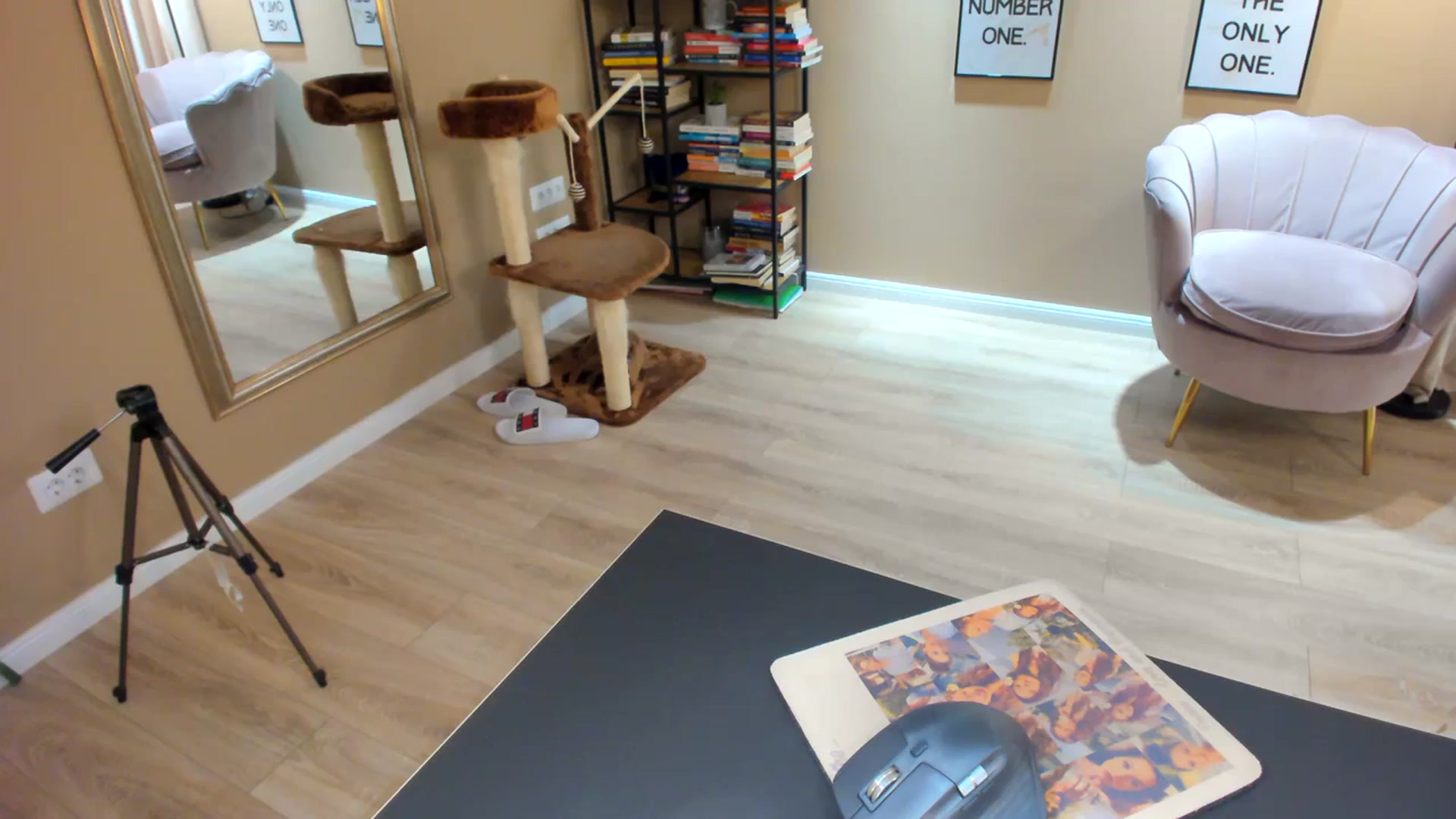 Gallery image thumbnail from SerenDYpity's myfreecams stream on, 08/22/2023, 20:54 image 20 of 20