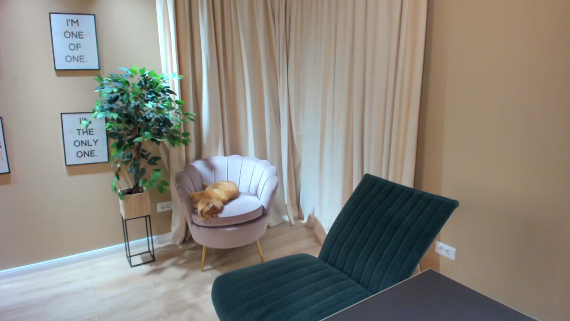 Gallery image thumbnail from SerenDYpity's myfreecams stream on, 10/02/2023, 20:44 image 4 of 20