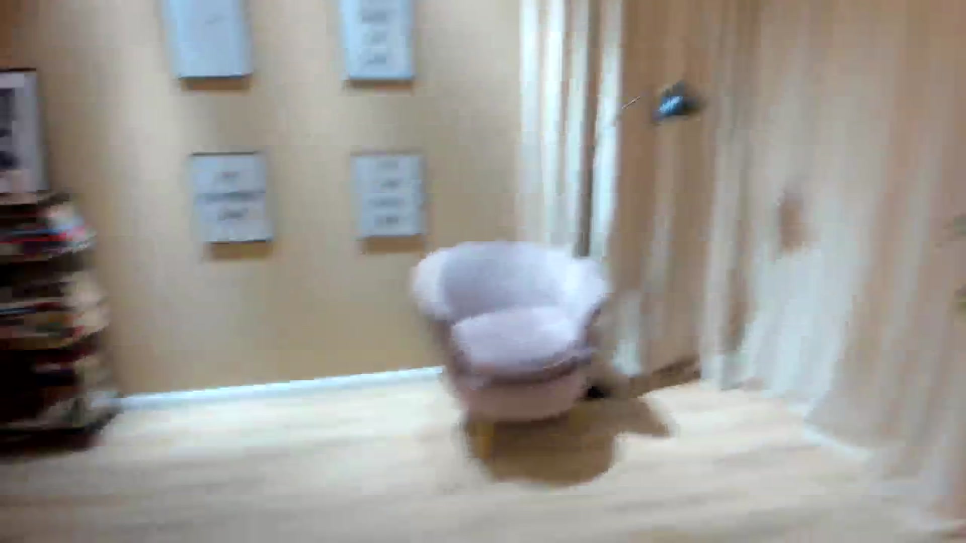 Gallery image thumbnail from SerenDYpity's myfreecams stream on, 10/21/2023, 20:56 image 5 of 20