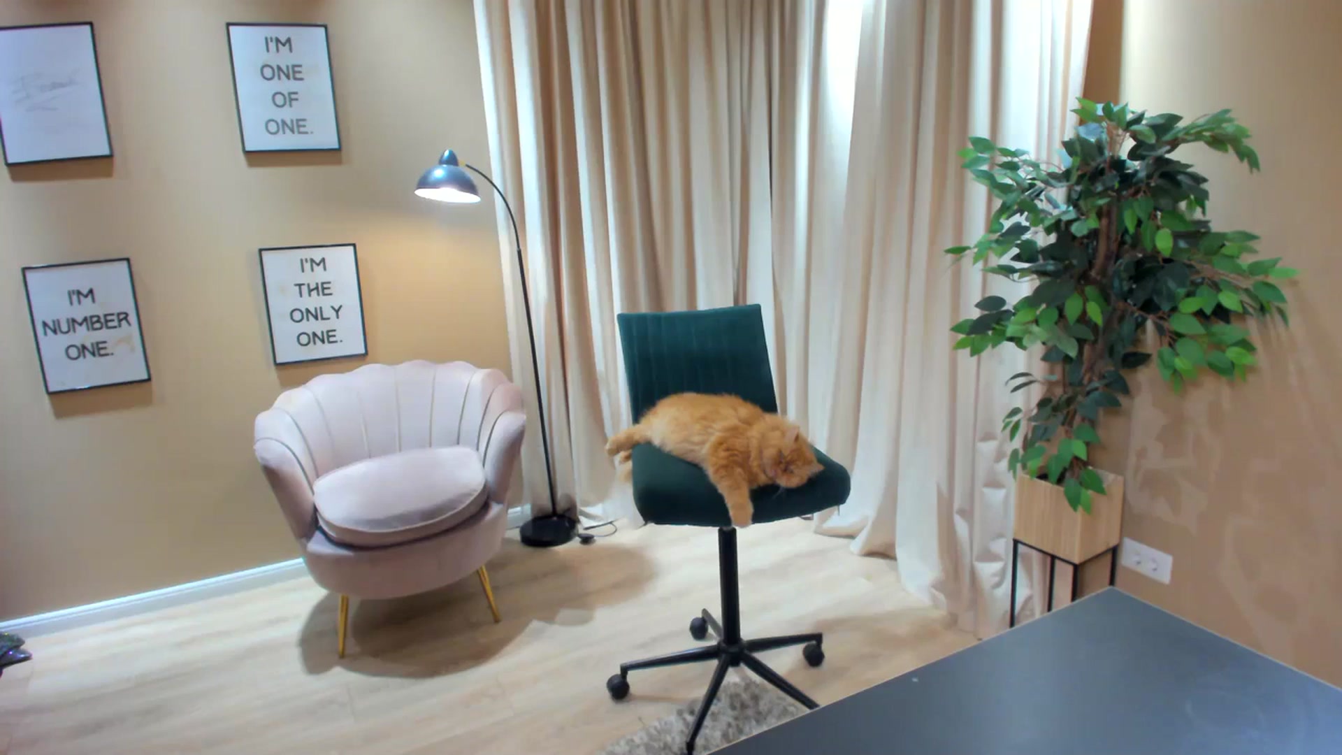 Gallery image thumbnail from SerenDYpity's myfreecams stream on, 11/02/2023, 20:46 image 2 of 20