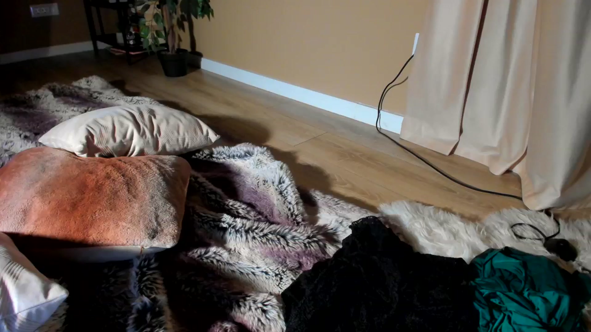 Gallery image thumbnail from SerenDYpity's myfreecams stream on, 01/24/2024, 24:10 image 1 of 20