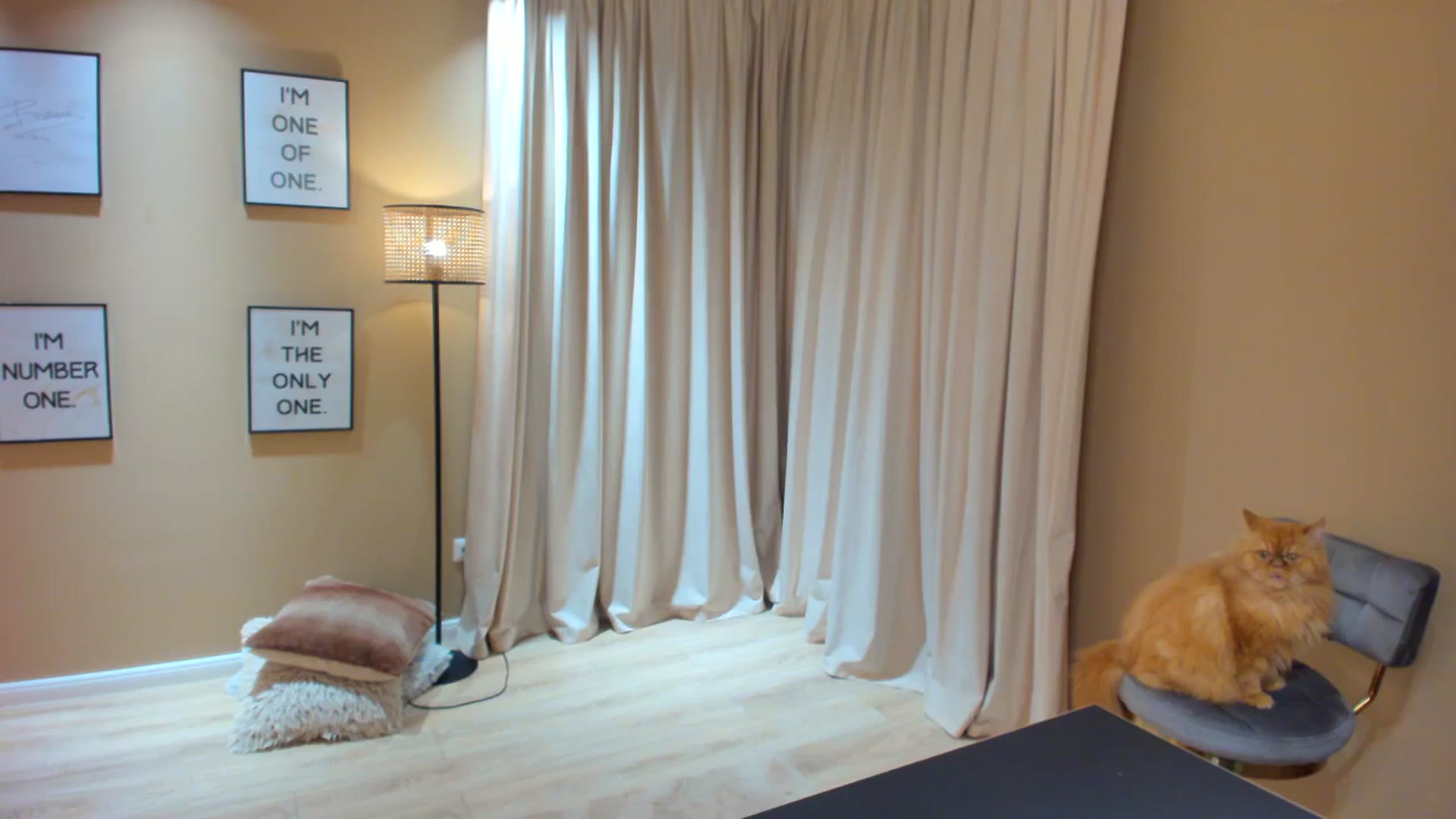 Gallery image thumbnail from SerenDYpity's myfreecams stream on, 04/02/2024, 23:21 image 20 of 20