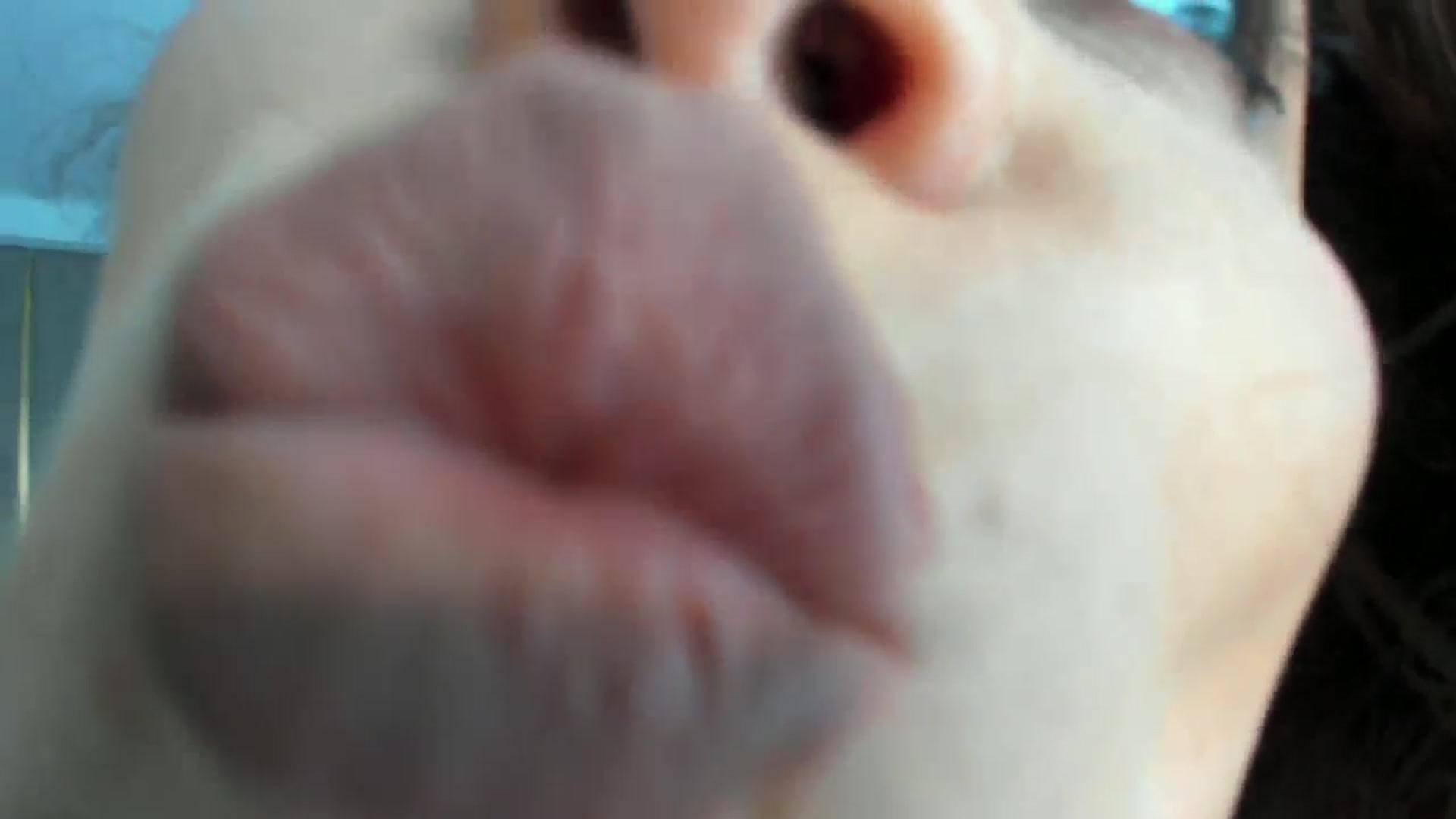 Gallery image thumbnail from SerenDYpity's myfreecams stream on, 04/26/2024, 15:23 image 8 of 20