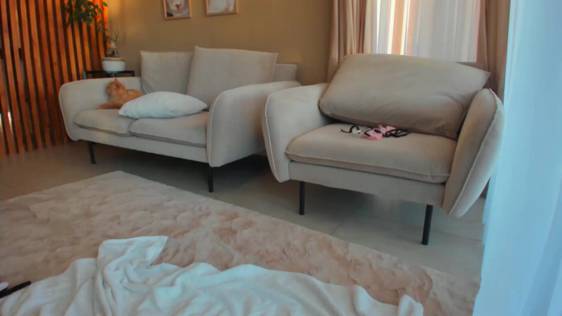 Gallery image thumbnail from SerenDYpity's myfreecams stream on, 05/09/2024, 18:10 image 8 of 20