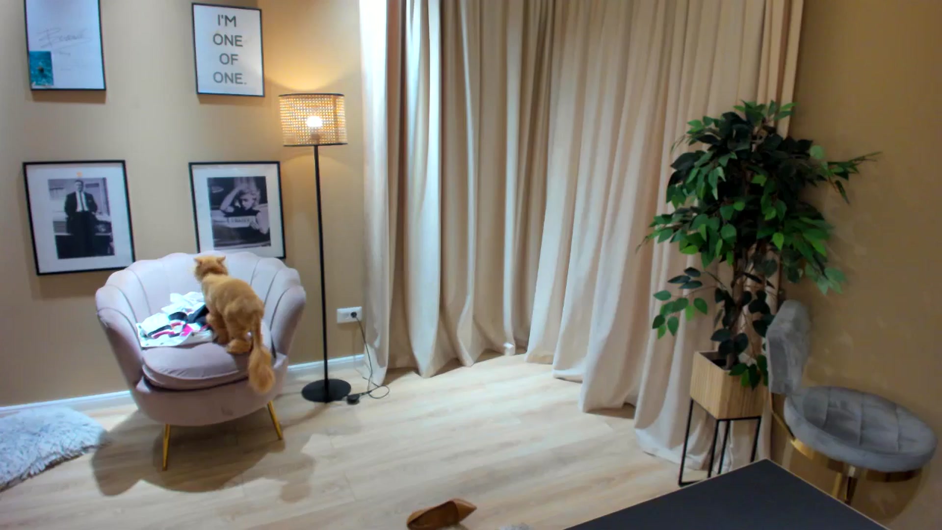 Gallery image thumbnail from SerenDYpity's myfreecams stream on, 06/08/2024, 22:12 image 10 of 20