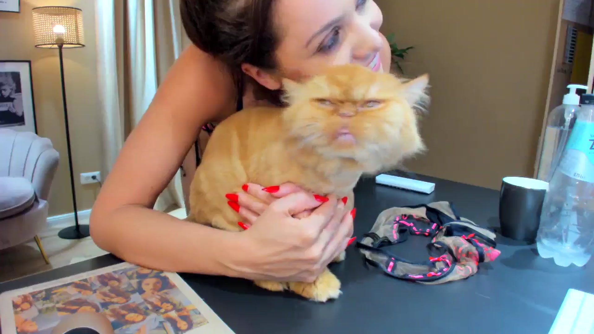 Gallery image thumbnail from SerenDYpity's myfreecams stream on, 06/08/2024, 23:49 image 14 of 20
