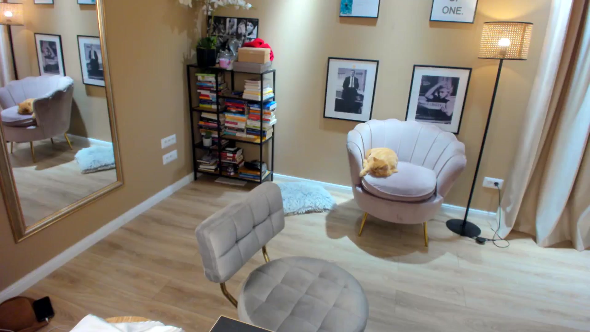 Gallery image thumbnail from SerenDYpity's myfreecams stream on, 06/08/2024, 23:49 image 9 of 20