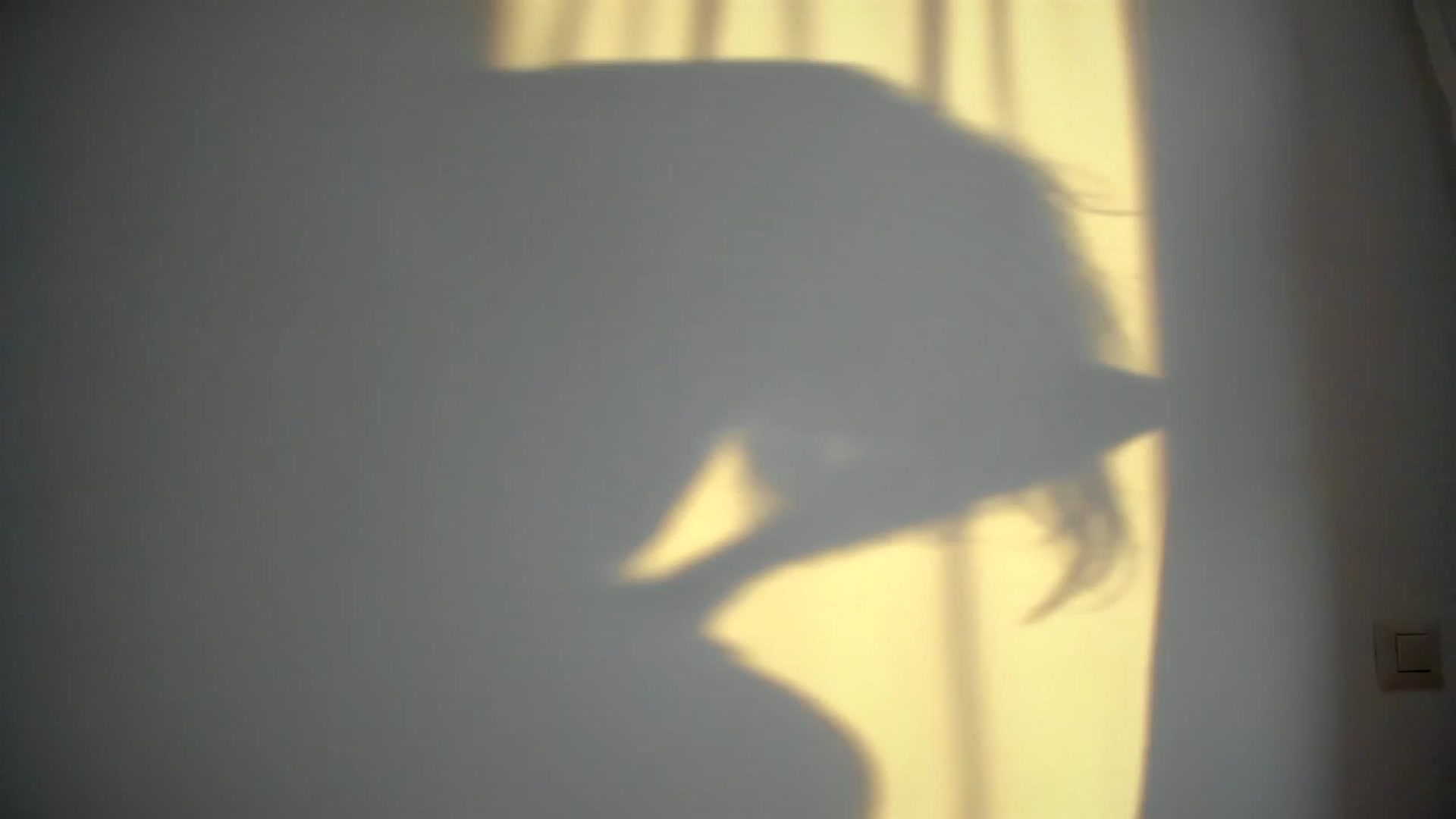 Gallery image thumbnail from SerenDYpity's myfreecams stream on, 07/18/2024, 18:26 image 1 of 20