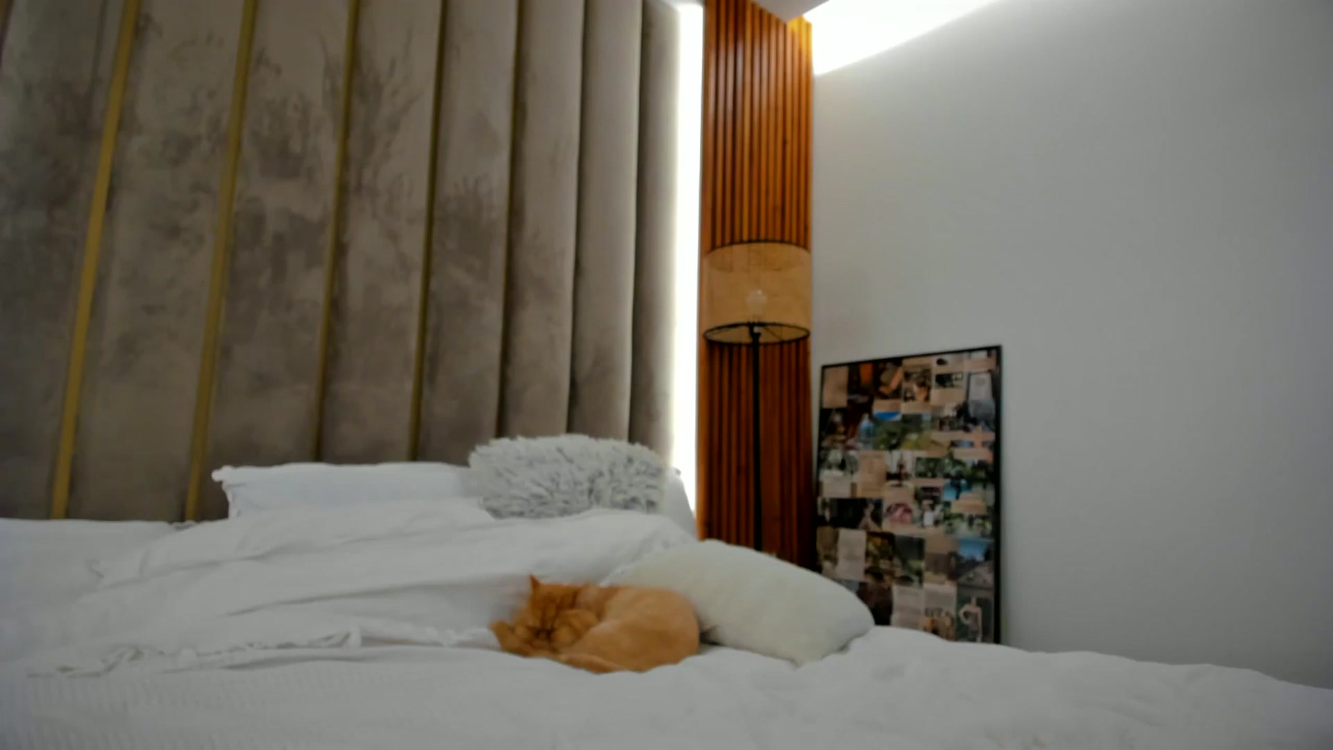 Gallery image thumbnail from SerenDYpity's myfreecams stream on, 09/17/2024, 18:08 image 6 of 20