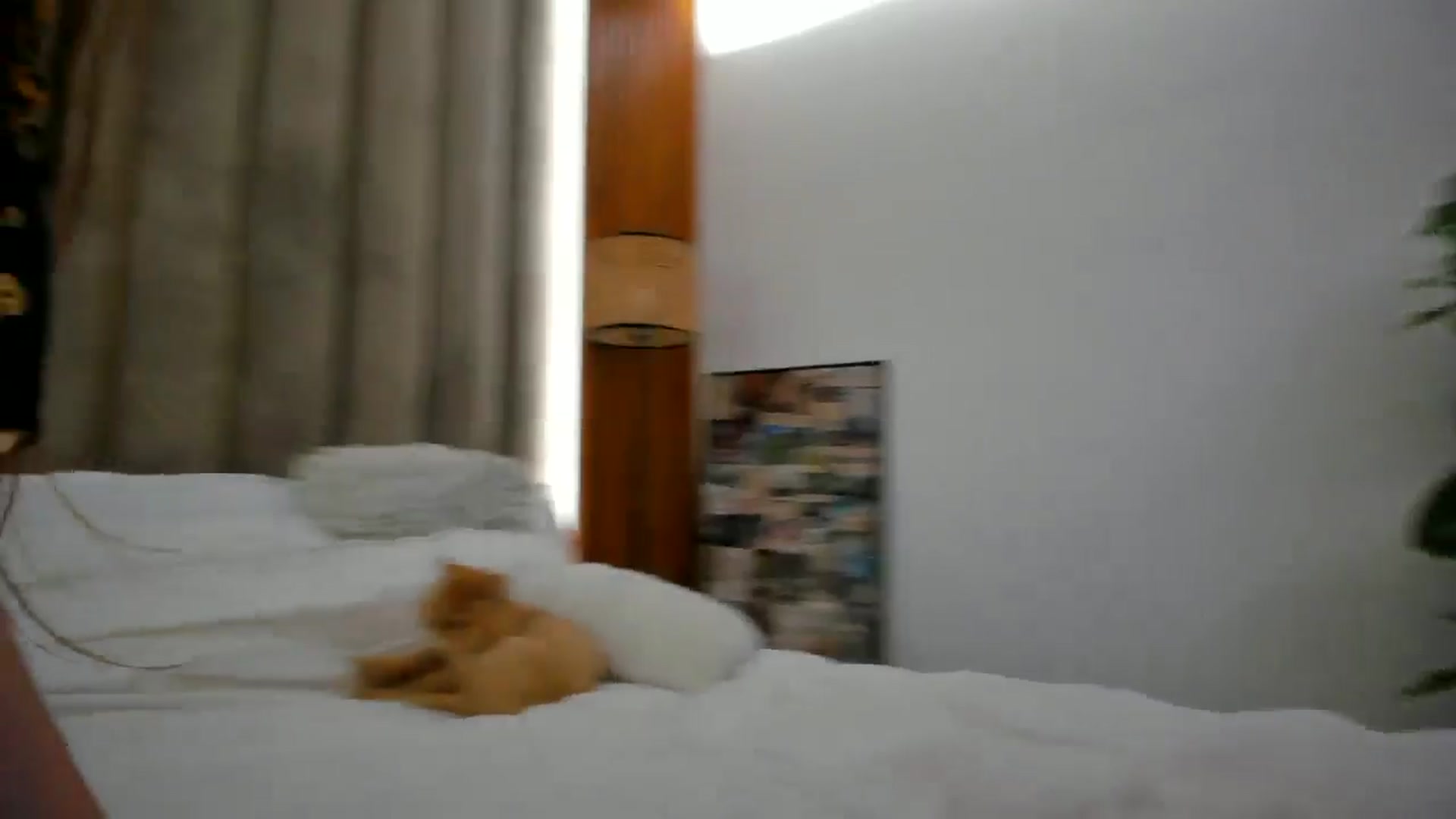 Gallery image thumbnail from SerenDYpity's myfreecams stream on, 09/17/2024, 18:08 image 2 of 20