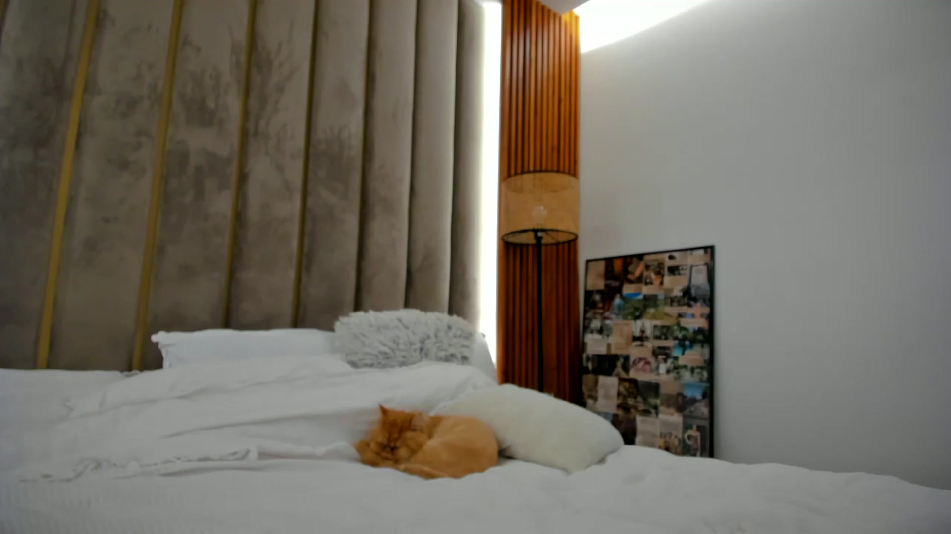 Gallery image thumbnail from SerenDYpity's myfreecams stream on, 09/17/2024, 18:08 image 3 of 20