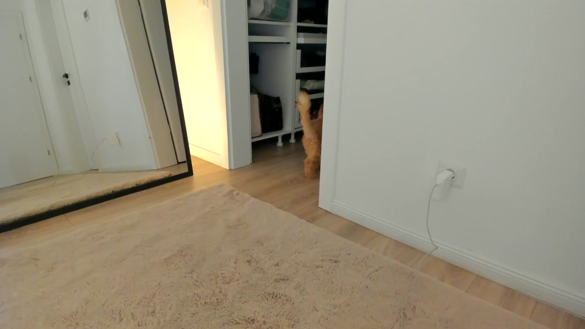Gallery image thumbnail from SerenDYpity's myfreecams stream on, 11/21/2024, 16:54 image 11 of 20