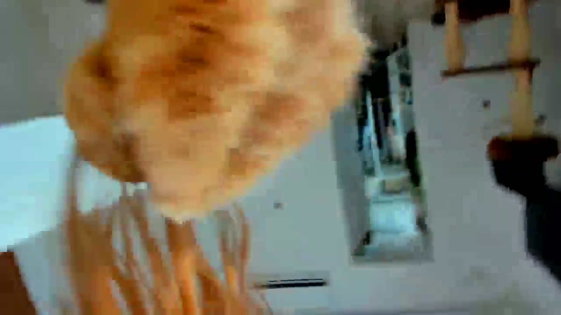 Gallery image thumbnail from SerenDYpity's myfreecams stream on, 06/11/2025, 17:01 image 5 of 20