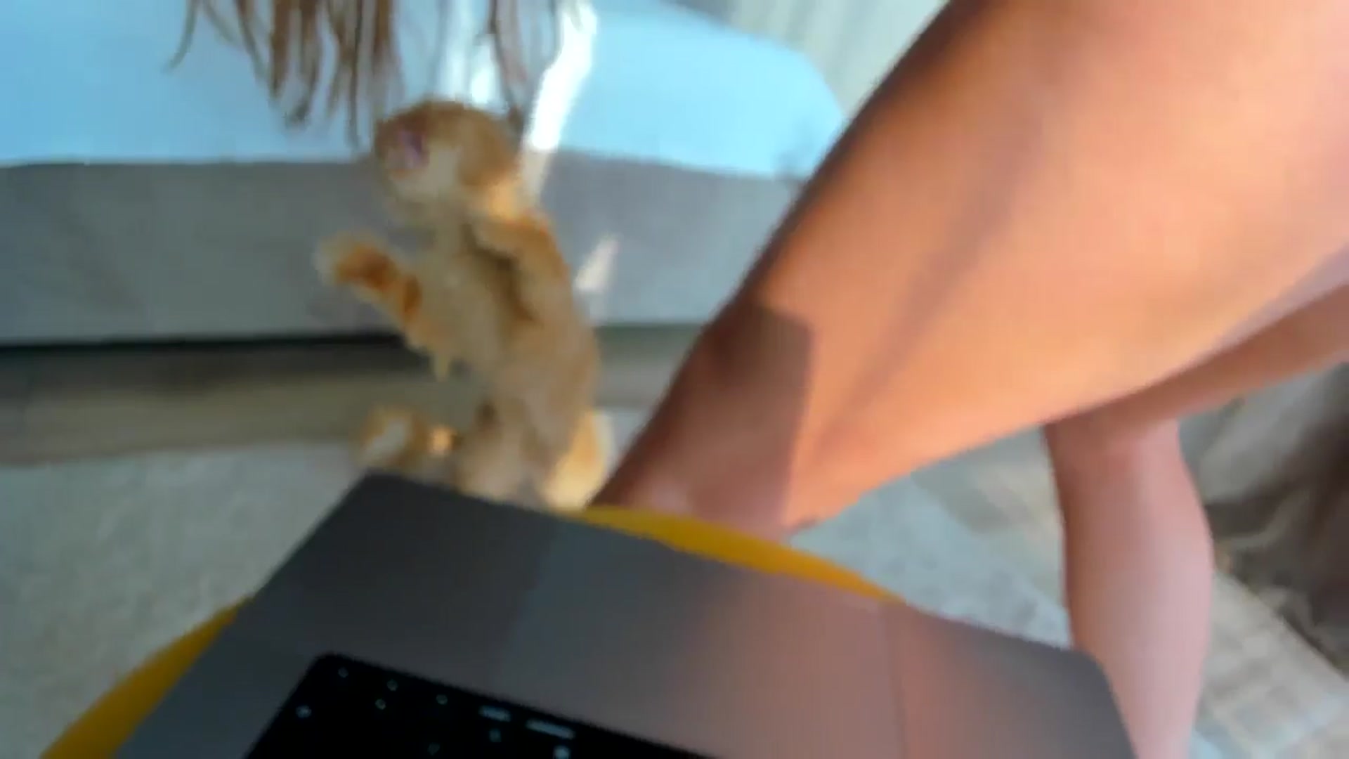 Gallery image thumbnail from SerenDYpity's myfreecams stream on, 06/11/2025, 17:01 image 3 of 20