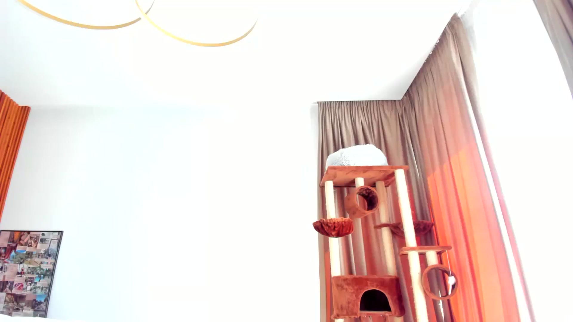 Gallery image thumbnail from SerenDYpity's myfreecams stream on, 08/16/2025, 14:29 image 18 of 20