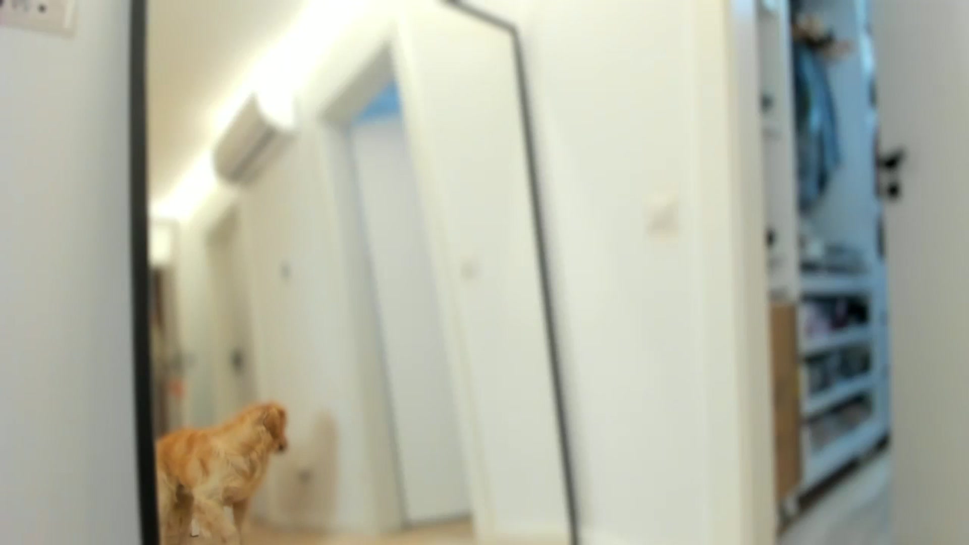 Gallery image thumbnail from SerenDYpity's myfreecams stream on, 11/24/2025, 18:02 image 1 of 20